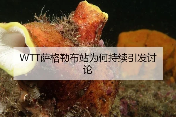 sa-ge-lei-bu-zhan-wei-he-chi-xu-yin-fa-tao-lun-2-505.jpg